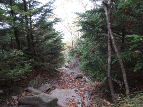 登山道